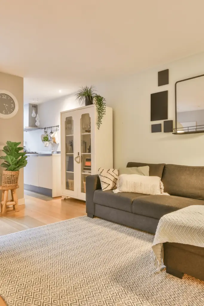 Čistoća stana Čistoća stana